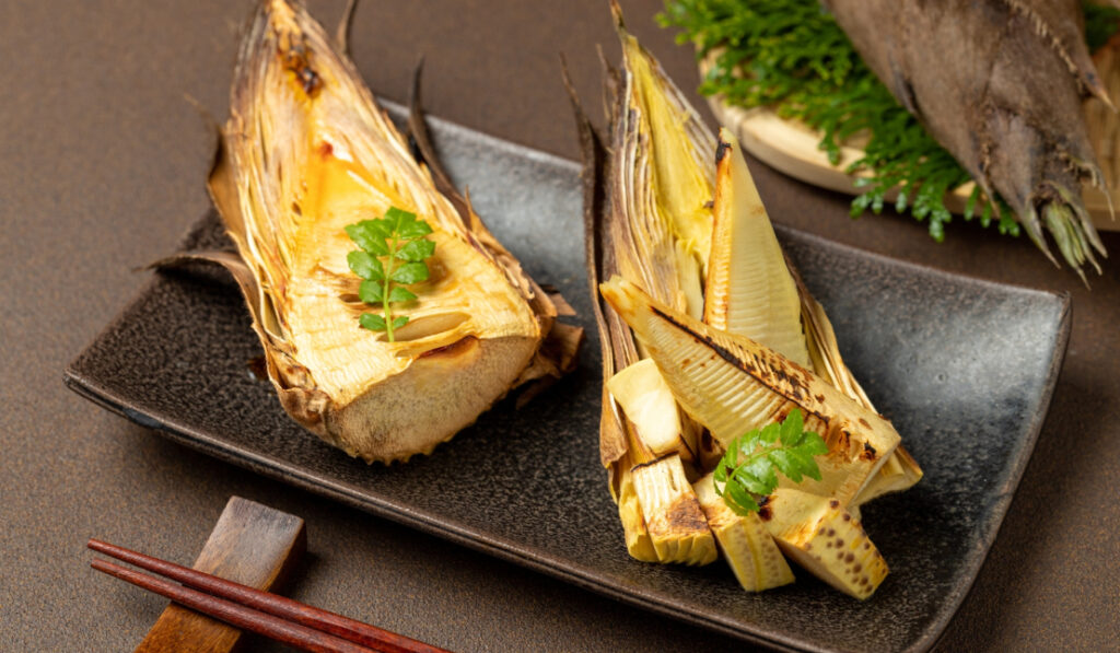 たけのこの旬と美味しい食べ方|選び方・レシピ情報 | かごしまぐるり よみもの