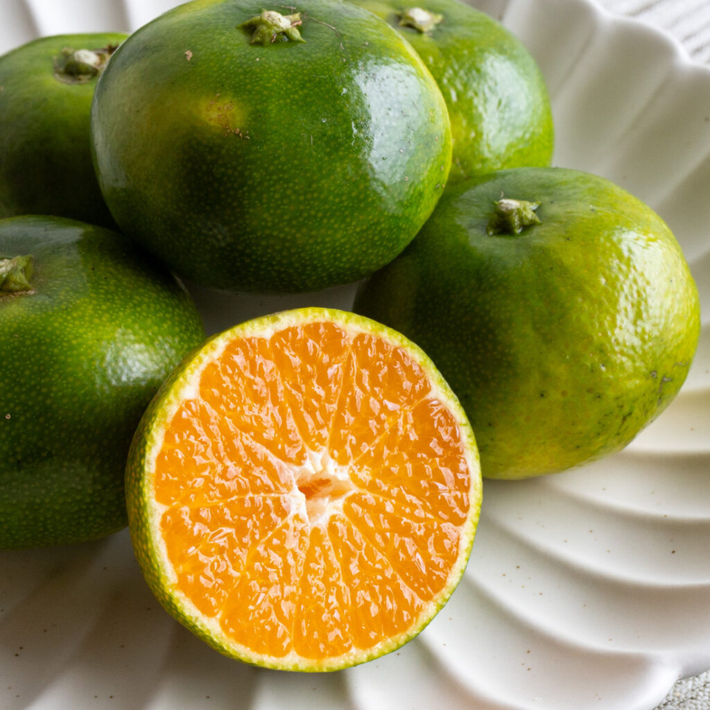 甘みと酸味のバランスが良い鹿児島出水産の極早生みかんは贈答用にも人気