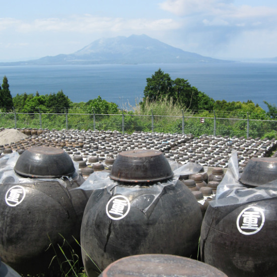 風味豊かな鹿児島黒酢を楽しむ3種飲み比べセット、健康志向のギフトやお取り寄せにおすすめ
