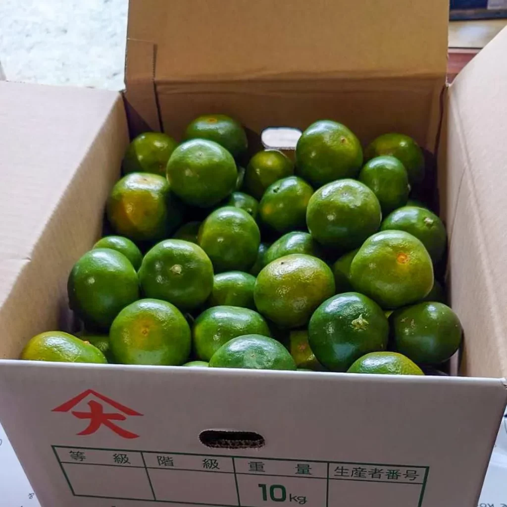 鹿児島いちき串木野市大里産、松﨑果樹園のかごしま早生みかんを産地直送で楽しめる